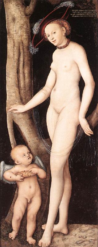 CRANACH, Lucas the Elder Venus and Cupid with a Honeycomb dfg